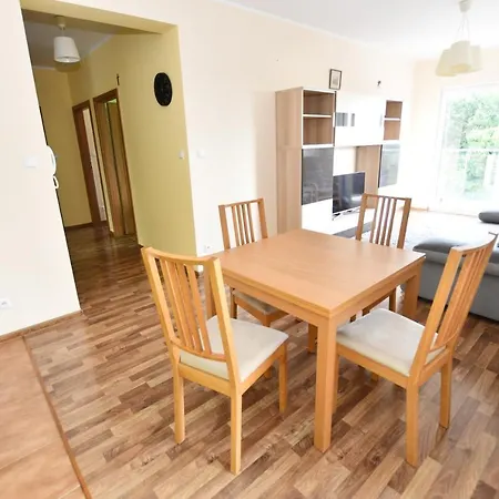 Apartment Mizu - Wielkopolska *